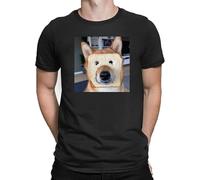 Tabby cat, Animal t-Shirt, Funny t-Shirt(Medium)