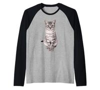 Tabby Cat Beautiful Tabby Kitten Raglan Baseball Tee
