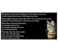 Tabby Cat Bereavement Memorial Flexible Fridge Magnet Gift - Someday