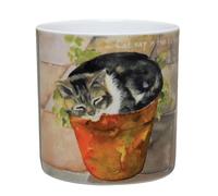Tabby Cat Catnip Cat Nap Little Dog Laughed Mug in Gift Box Digs & Manor Range LDM53