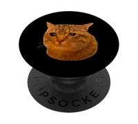 Tabby Cat Cry Funny Crying Cat Meme Hilarious Weird Cat Face PopSockets Adhesive PopGrip