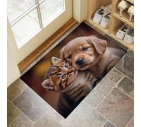 Tabby Cat Labrador Retriever Door Mat Washable 50 x 80 cm Brown Entryway Doormat Indoor Cute Animal Thin Rug Lightweight Non Slip Carpet for Kitchen Bedroom Floor Mat
