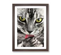 Tabby Cat Licking Its Paw Modern Framed Print | A4 Walnut Framed Wall Art | Ready to Hang | Modern Animal Picture | Living Room Bedroom Lounge Office