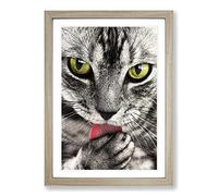 Tabby Cat Licking Paw Framed Print | A2 Oak Framed Wall Art | Ready to Hang | Modern Animal Picture | Living Room Bedroom Lounge Office