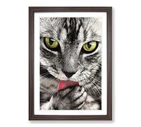 Tabby Cat Licking Paw Framed Print | A2 Walnut Framed Wall Art | Ready to Hang | Modern Animal Picture | Living Room Bedroom Lounge Office