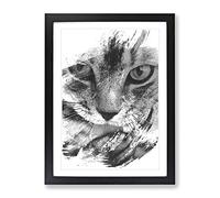 Tabby Cat Licking Paw V1 Modern Framed Wall Art Print, Ready to Hang Picture for Living Room Bedroom Home Office Décor, Black A3 (34 x 46 cm)