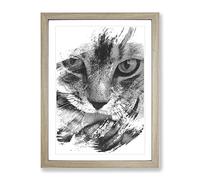 Tabby Cat Licking Paw V1 Modern Framed Wall Art Print, Ready to Hang Picture for Living Room Bedroom Home Office Décor, Oak A4 (34 x 25 cm)