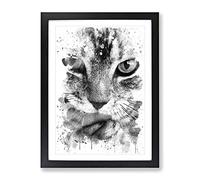 Tabby Cat Licking Paw V4 Modern Framed Print | A2 Black Framed Wall Art | Ready to Hang | Modern Animal Picture | Living Room Bedroom Lounge Office