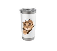 Tabby Cat Peeking from Rip Kitten Kitty Face Torn the Fabric Stainless Steel Insulated Tumbler