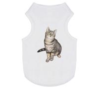 'Tabby Cat' Pet Dog/Cat T-Shirt (PT00072108)