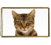 Tabby Cat Pet Gold Colour Rectangle Badge With A Velveteen Bag