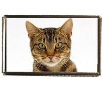 Tabby Cat Pet Silver Colour Rectangle Badge With A Velveteen Bag