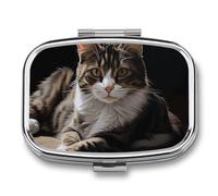 Tabby Cat Pill Box 2 Compartment Portable Travel Pill Case with Mirror Square Metal Medicines Storage Container Pocket Medicine Box to Hold Vitamins Fish Oil
