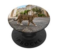 Tabby Cat Walking Quiet European Street Scene PopSockets Adhesive PopGrip