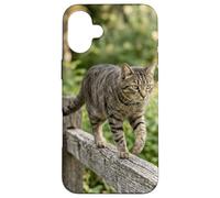 Tabby Cat Walking Wooden Fence Outdoor Scene Case for iPhone 16 Plus