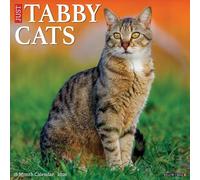 Tabby Cats 2026 12" x 12" Wall Calendar