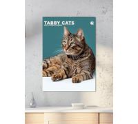 Tabby Cats 2026 Calendar, A3, Wirobound, Full Colour
