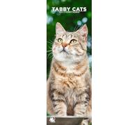 Tabby Cats 2026 Wall Calendar, 12-Month Slim Format, Made in England
