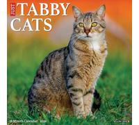 Tabby Cats 2026 Wall Calendar