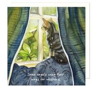 Tabby Kitten Greeting Card, Animal Art Design, Blank Inside, Cat Lovers, Single Card, Square Format, 14.5 x 14.5 cm, Sustainable Forestry Card