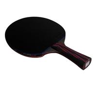 Table tennis bat, Table Tennis Bat Set, Arc-Ring Combination Fast Attack Racket, 9 Star Professional Ping Pong for Players and Coaches