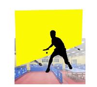 Table Tennis Partition Screen, Foldable Indoor and Outdoor Fence, Removable Stadium Baffle, Easy to Assemble for School and Recreational Use