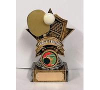 Table Tennis Trophy Award,130mm,Free Engraving -cl(RM94)