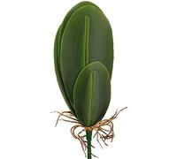 table top decor greenery decor green artificial flowers plastic potted plants fake orchids home decor Fake Leaves Wedding Decor Simulation Leaves fake Phalaenopsis leaf desk