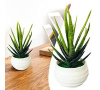 Tabletop Decorations Simulation Indoor Green T Small Bonsai Artificial Potted Plants Potted Faux Green Grass Home Decoration Birthday Gnome (Green, One Size)
