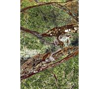 Tabletop Marble for Bell Side Table Side Table ClassiCon - CLASSICON MARMOR COF GREEN