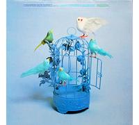 Tabor June & the Oyster Band - Freedom and Rain [VINYL]