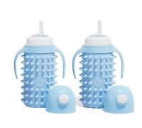 Tabor Place Set of 2 Glass Sippy Cup for Toddlers/The Spikey Bear / 8oz / Strong Glass/Protectitive Silicone Sleeve/Leakproof Straw (Large)