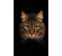 Taccuino - Gatto: 80 pagine a righe - copertina fotografica su sfondo nero