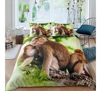 TACOKI Monkey Duvet Cover Double Monkey Bedding Set for Kids Adults Boys Girls, 3D Printed Soft Comfy Microfiber Quilt Cover with 2 Pillowcases with Zipper Closure e831