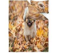 TACOKI Poodle Single Duvet Cover Set Poodle Bedding Quilt Cover for Room Decor, 3D Print Reversible Bedding Set Super Soft Brushed Microfibre Bed Set with Pillowcases Zipper Closure 1519a