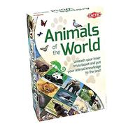 Tactic Games Animals Of The World Card Game Tactic Games Multicolor
