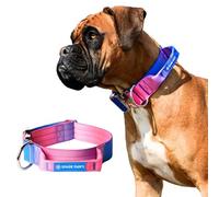 Tactical Dog Collar with Handle - Premium Quality Collar, Robust and Durable Design for Large, Strong Breeds - Pitbulls, Labradors, GSD - Snow Cone - L