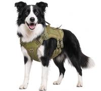 Tactical Dog Harness for Medium Dogs, Heavy Duty No Pull Dog Harness with Handle, Adjustable 6-Buckle Pet Vest for Pitbull, Border Collie, Boxer, Walking, Training, Hunting