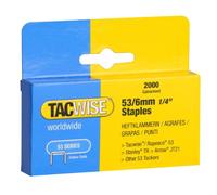 Tacwise 0334 Type 53 / 6 mm Galvanised Staples, Pack of 2000