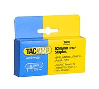 Tacwise 0335 Type 53/8 mm Galvanised Staples, Pack of 2000 | V-shaped Chisel Points, Strong Hold