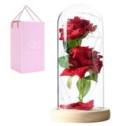 Tadoiooy Rose Flower Gifts for Women,Preserved Rose Flower in Glass, Preserved Rose in Dome, Light Up Preserved Flowers Red Romantic Valentines Day Gifts for Girlfriend