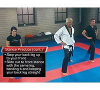 Tae Kwon Do: Seeking Perfection of Form