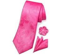 TaecMin Mens Tie Solid Ties for Men Paisley Neckties and Pocket Squares Set with Flower Lapel Pins for Weddings, B-hot Pink, One size, (NP02K3)