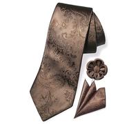 TaecMin Silver Tie Light Grey Ties for Men Paisley Neckties and Pocket Squares Set with Flower Lapel Pins for Weddings, B-brown, With Lapel Pin