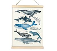 TAEDIN Whales Ocean Animal Chart Poster Hanger Frame, Whales Nautical Wall decor Educational Wooden Canvas Print, Sea Life Beach Wall Decor Painting for Classroom Nursery Bedroom Teen Room 12X16