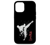 Taekwondo backprint Case for iPhone 12/12 Pro