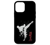 Taekwondo backprint Case for iPhone 12 mini