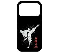 Taekwondo backprint Case for iPhone 17 Pro