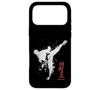 Taekwondo backprint Case for iPhone 17 Pro Max