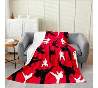 Taekwondo Girls Boys All Season Bed Blanket Japanese Style Throw Blanket,Kungfu Sports Theme Home Decorative Flannel Blanket Red Black Blanket for Sofa Couch 60"x80"